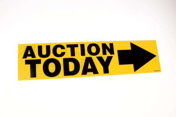 Auction Add On 6” x 24” Coroplast Signs (10/Pack)