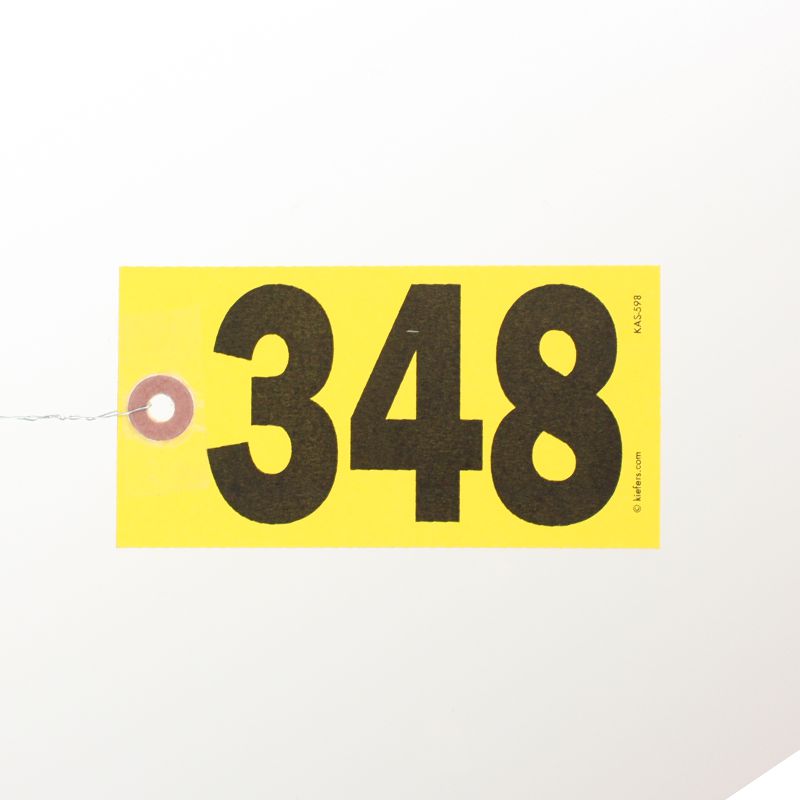 Star Bright Tags, Wired (500/box)
