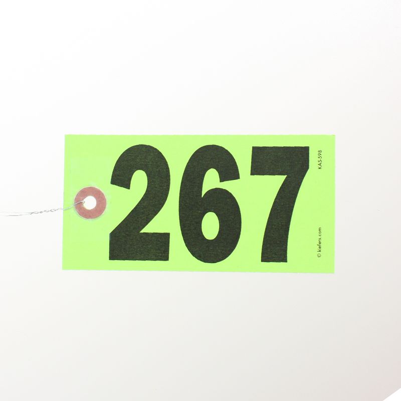 Star Bright Tags, Wired (500/box)